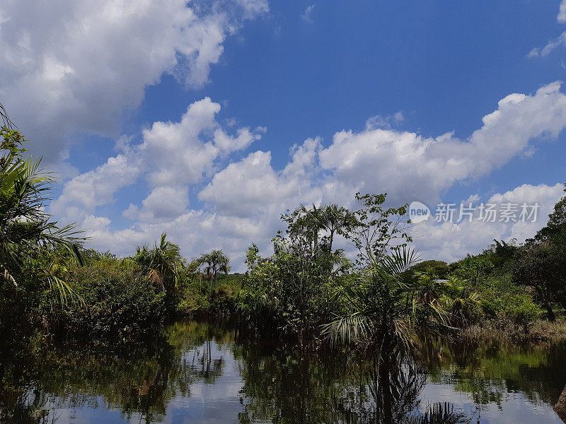 亚马逊地区- TAPAJOS - PARA